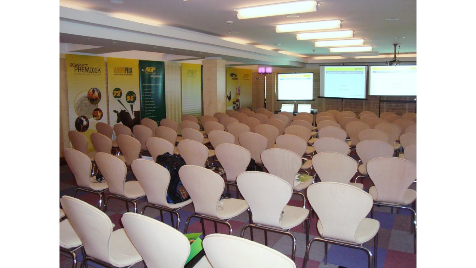 Dráva Hotel Thermal Resort
