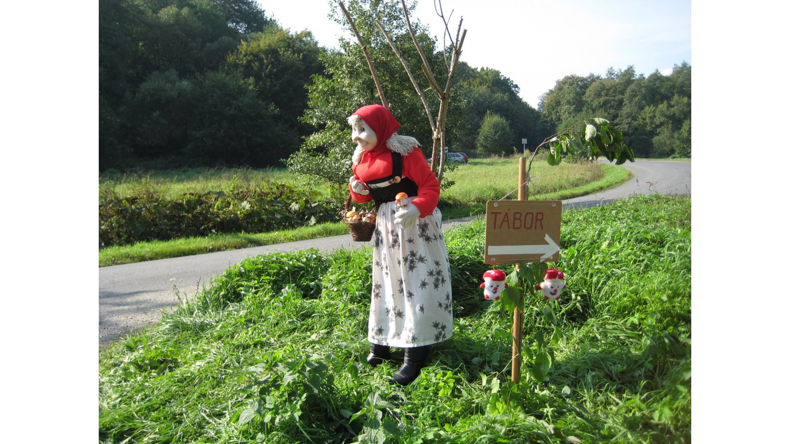 Soproni Gyermek és Ifjúsági Tábor