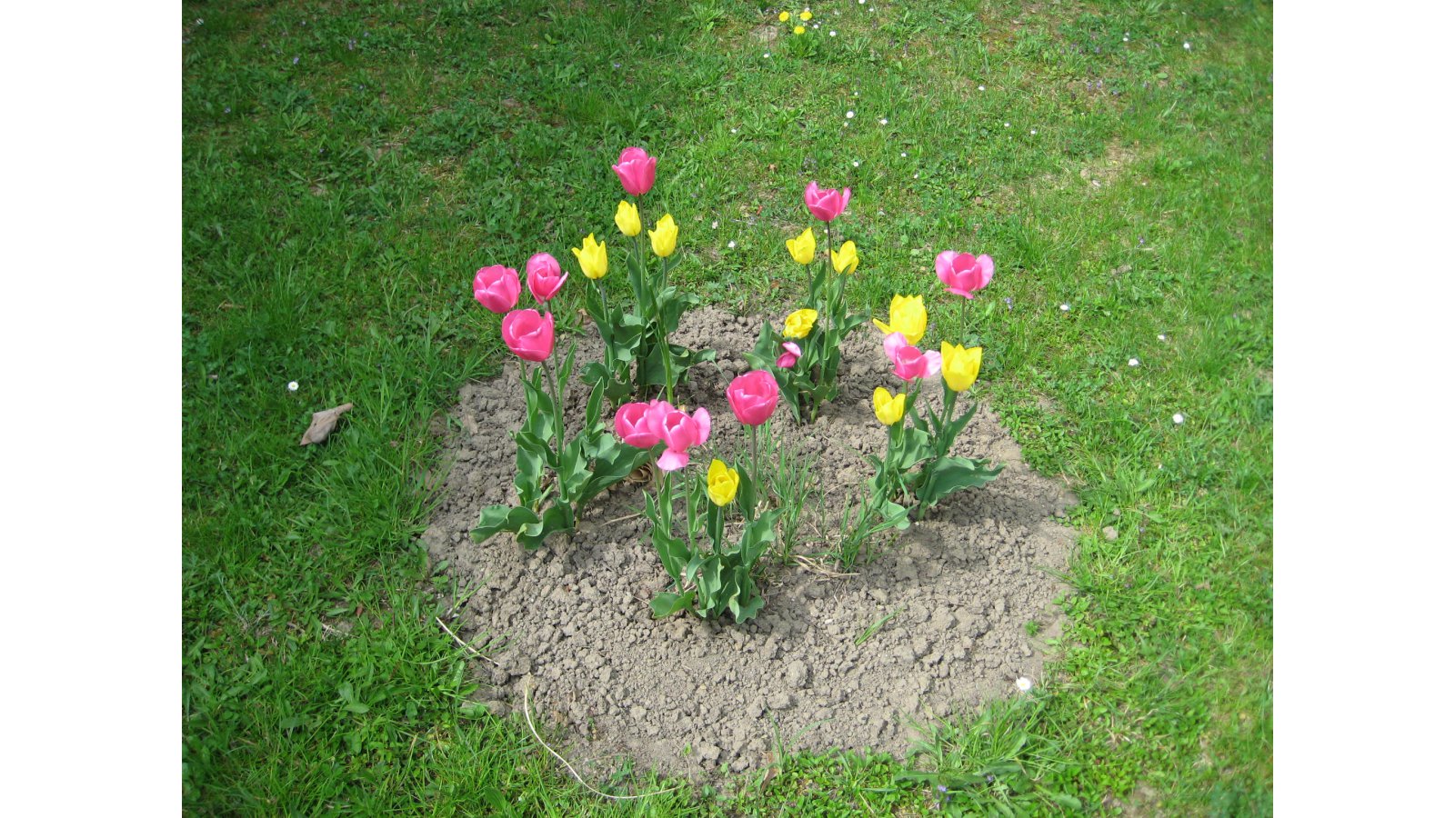 Soproni Gyermek és Ifjúsági Tábor