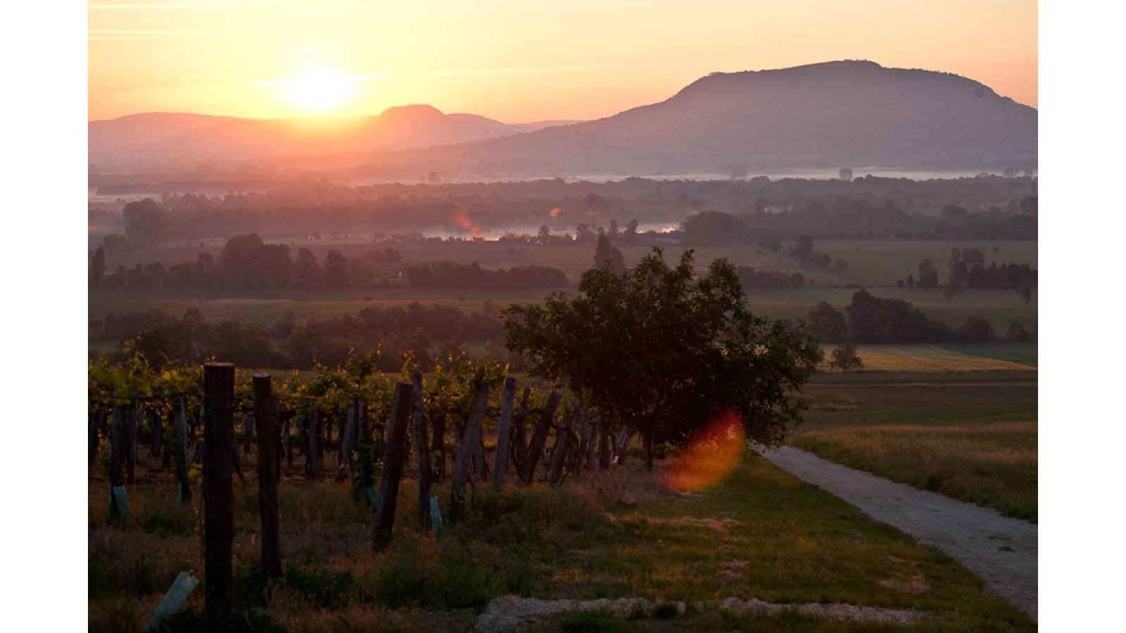 Equital Lovasudvar és Wellness Panzió