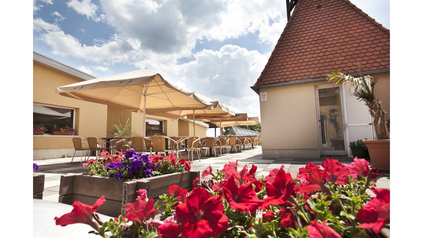 Hotel Makár Sport & Wellness Pécs
