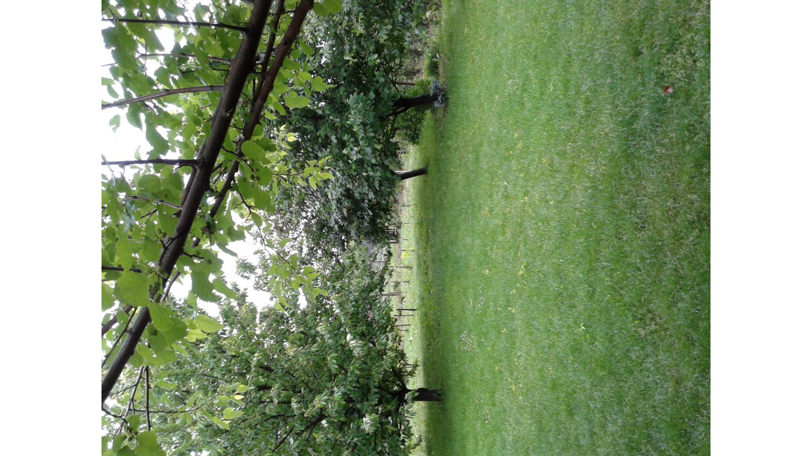 Szilvia Vendégház Pellérd