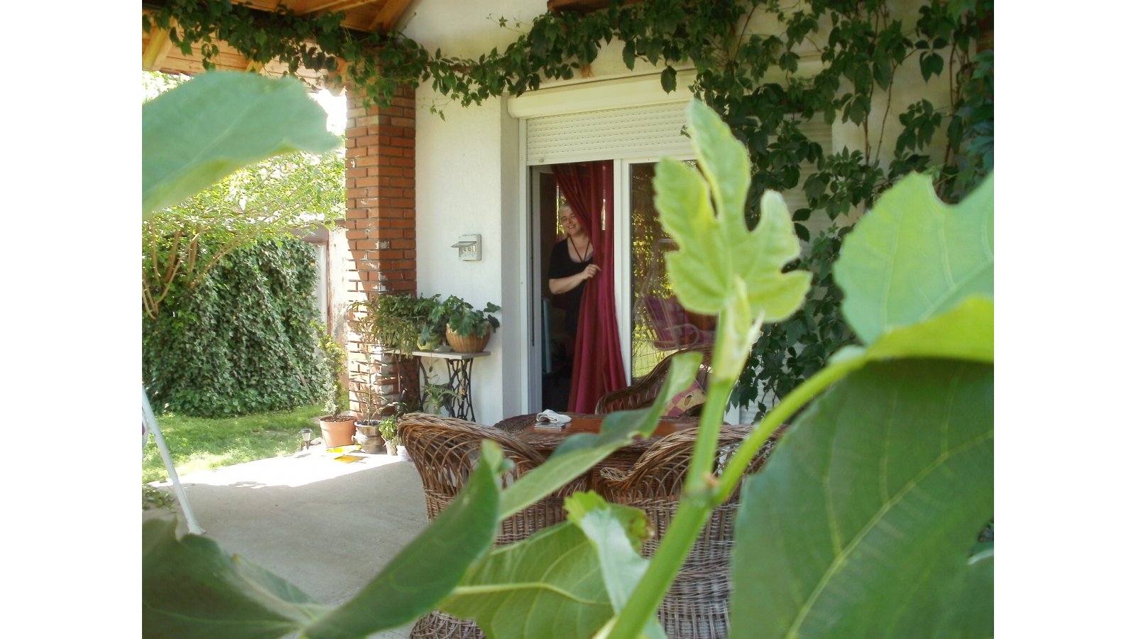 Szilvia Vendégház Pellérd