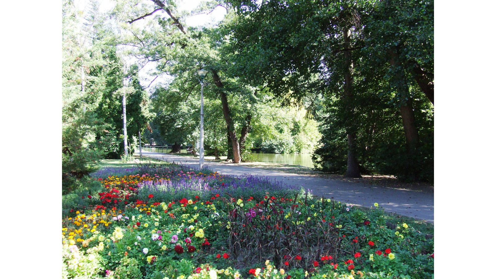 Mókus Apartman Miskolctapolca