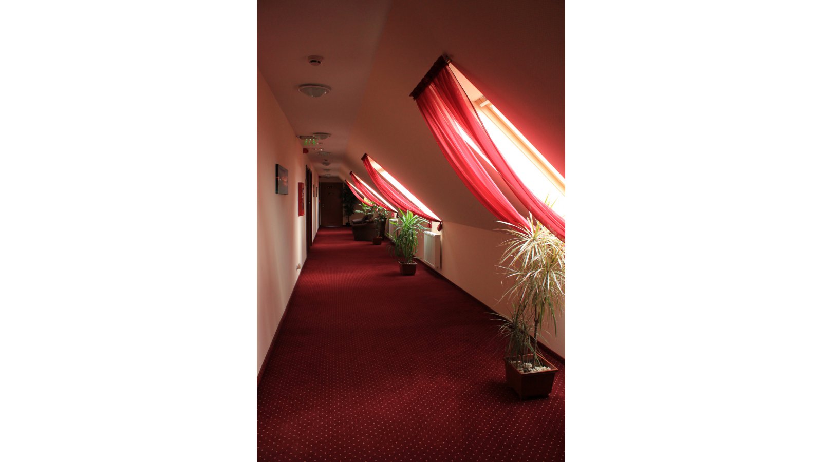 Libra Hotel