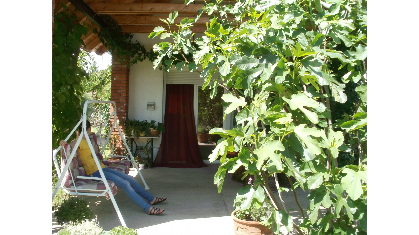 Szilvia Vendégház Pellérd