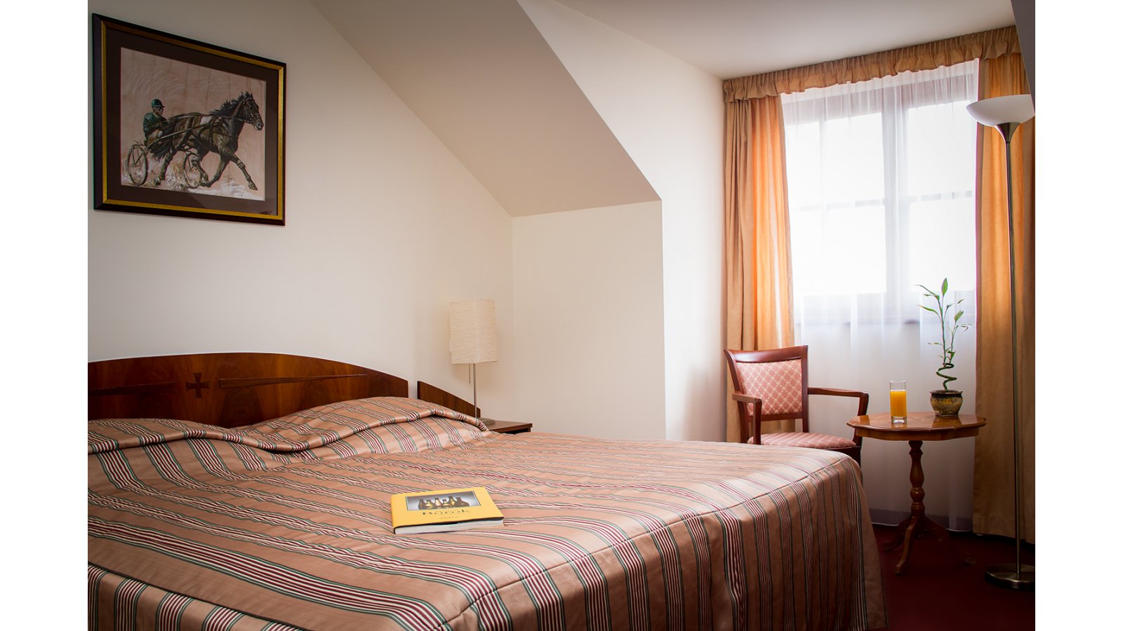 Bodrogi Kúria Wellness Hotel 