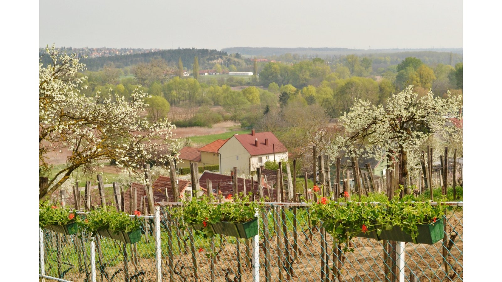 Villa Lira Hévíz
