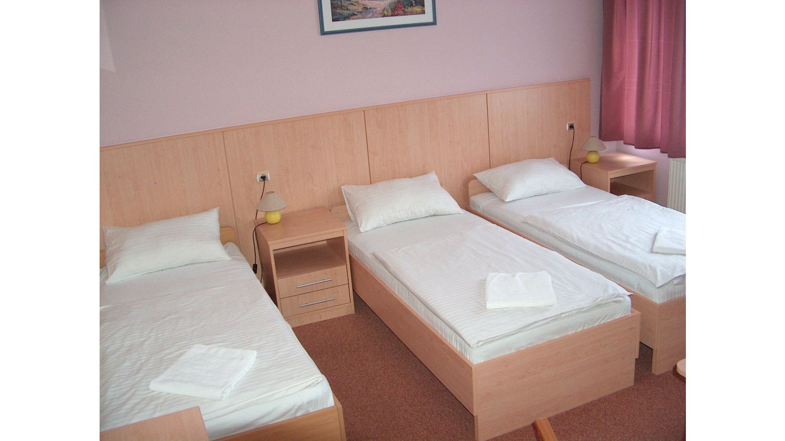 D-Hotel