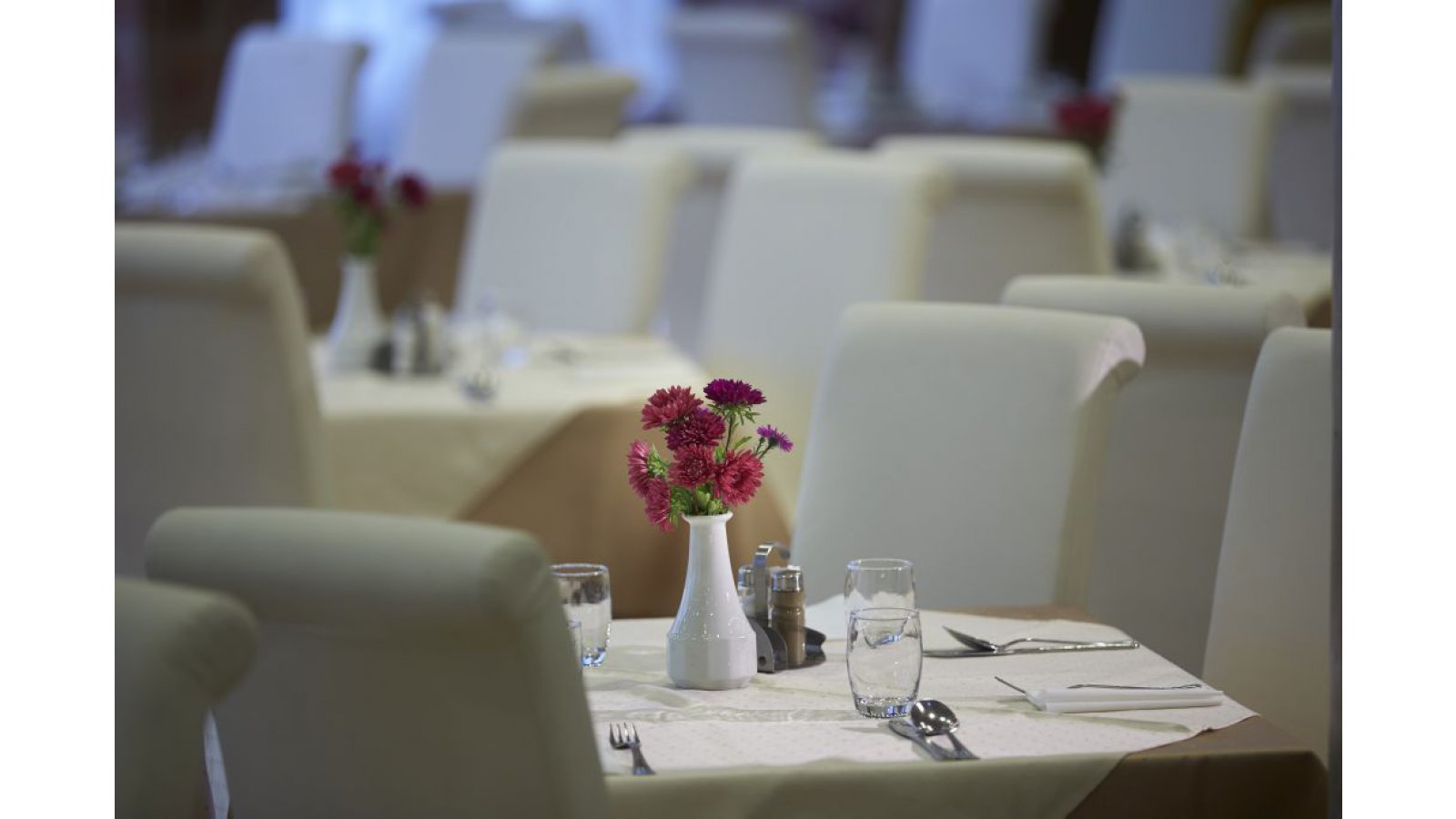 Hotel Laterum
