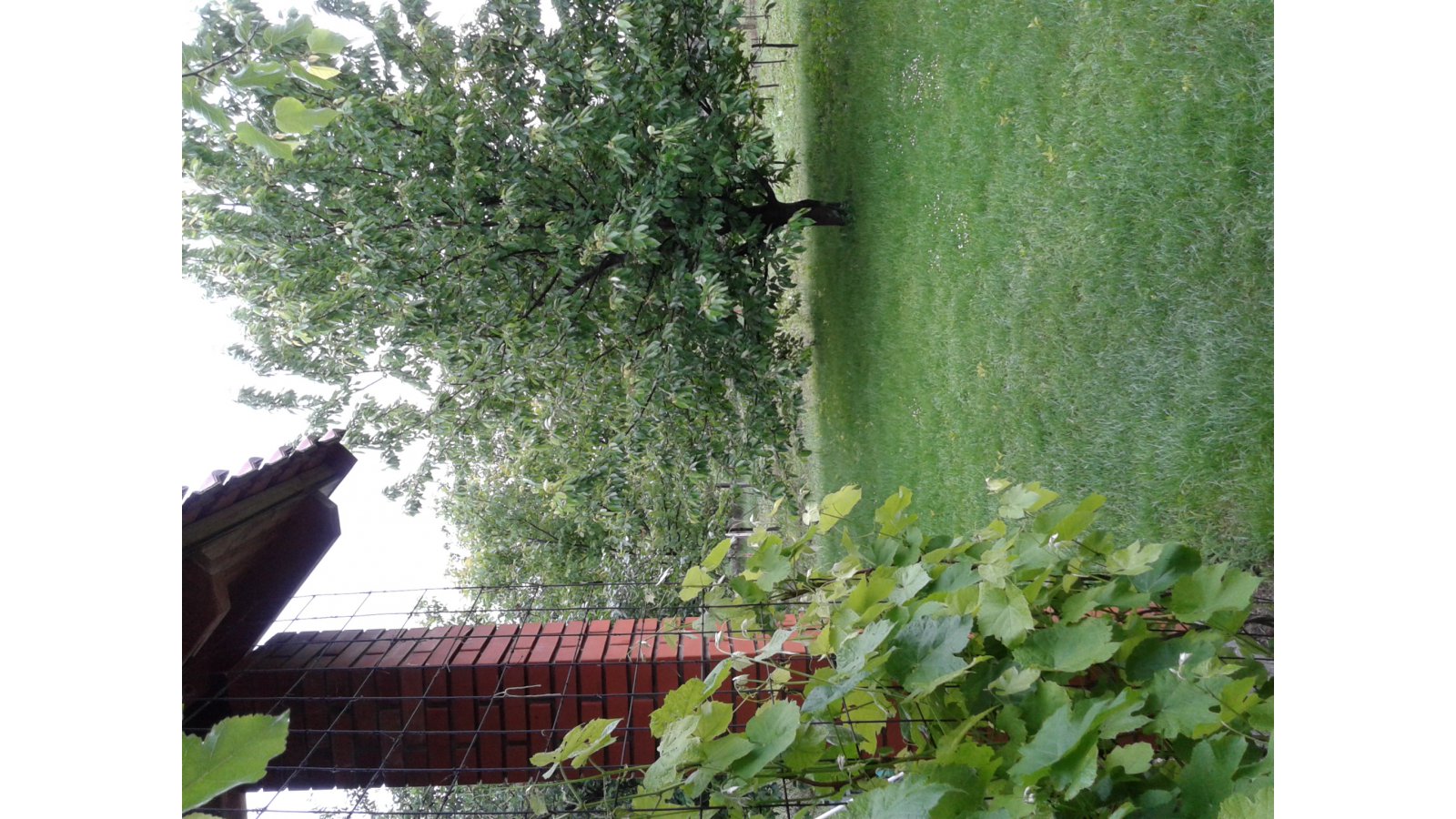 Szilvia Vendégház Pellérd